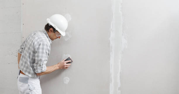 Best Attic Mold Removal  in Thoreau, NM