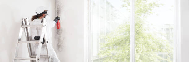 Best Dehumidification Services  in Thoreau, NM