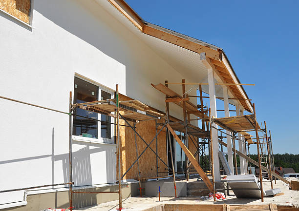 Best Mold Damage Restoration  in Thoreau, NM