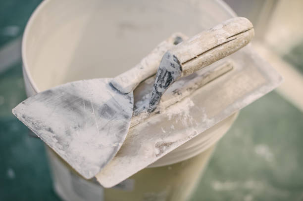 Best Asbestos and Lead Testing During Mold Inspection  in Thoreau, NM